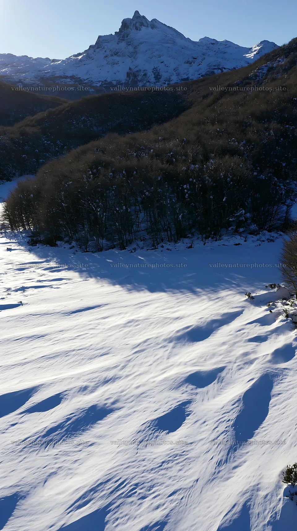 Aerial view of snowy meadow valley with trees and mountains – nature photography 5938x10608