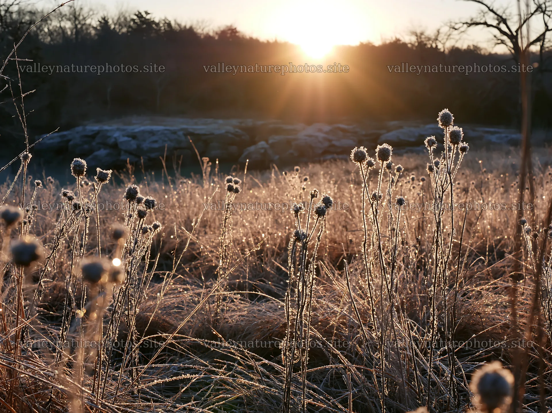 Frosty meadow at sunrise reveals morning light – nature photography 9174x6866