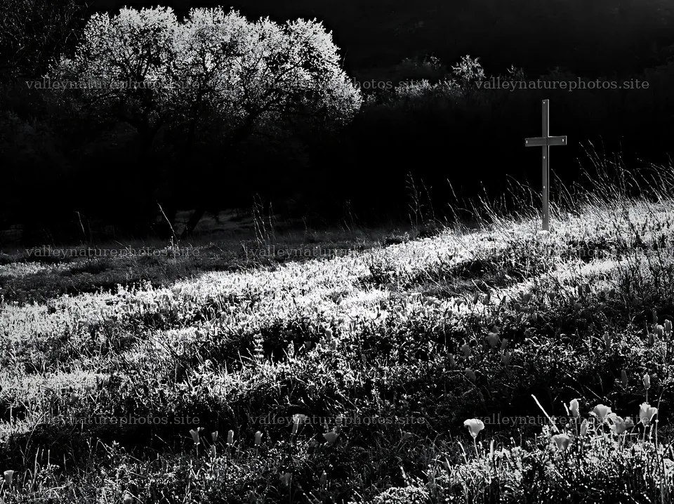 Christian cross on frost covered meadow – nature photography 9174x6866