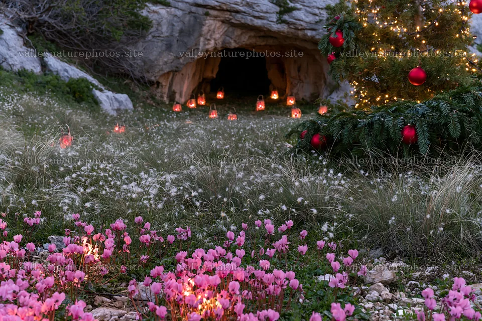Christmas lanterns in meadow by cave – nature photography 9722x6480