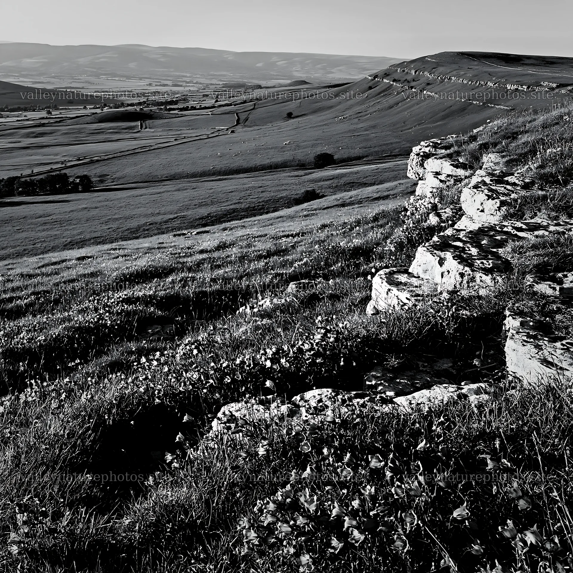 Sunny meadow on limestone escarpment during the day – nature photography 7938x7938