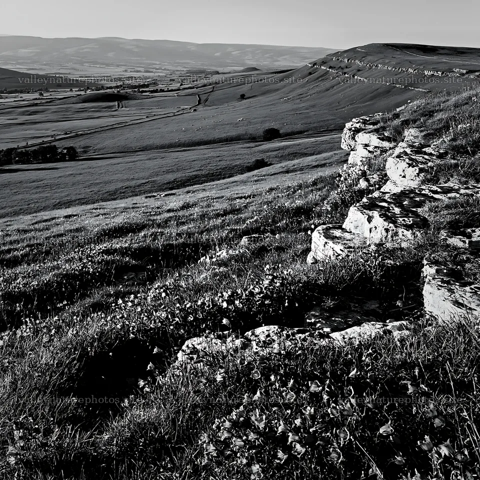 Sunny meadow on limestone escarpment during the day – nature photography 7938x7938