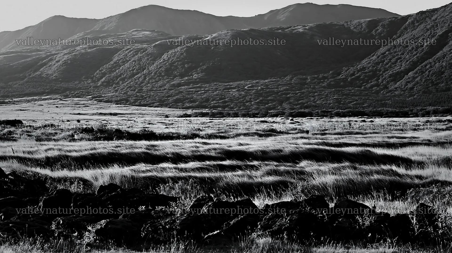 Kumamoto volcanic meadow with dark rocks and hills in the background – nature photography 10608x5938