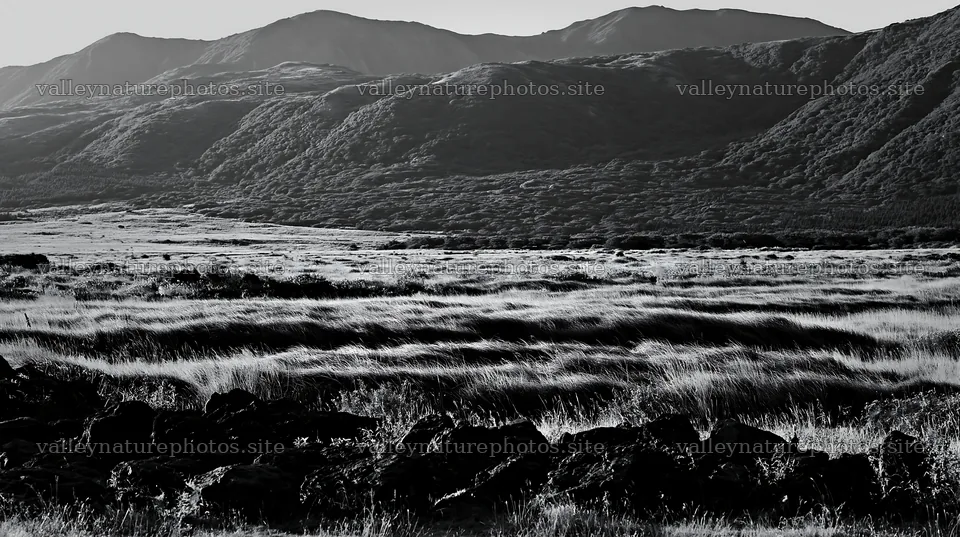 Kumamoto volcanic meadow with dark rocks and hills in the background – nature photography 10608x5938