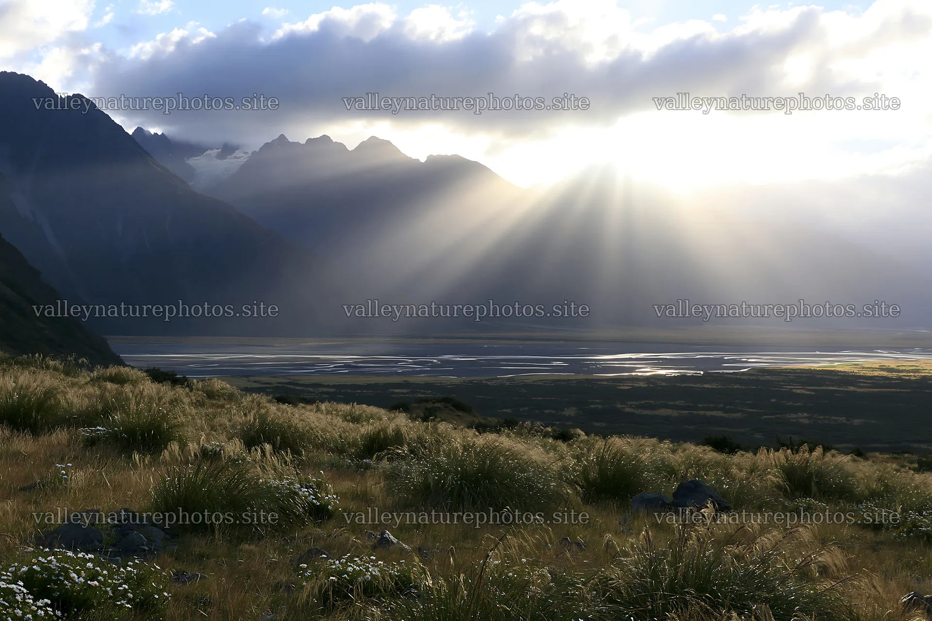 Sunlight beams in a meadow during early evening – nature photography 9722x6480