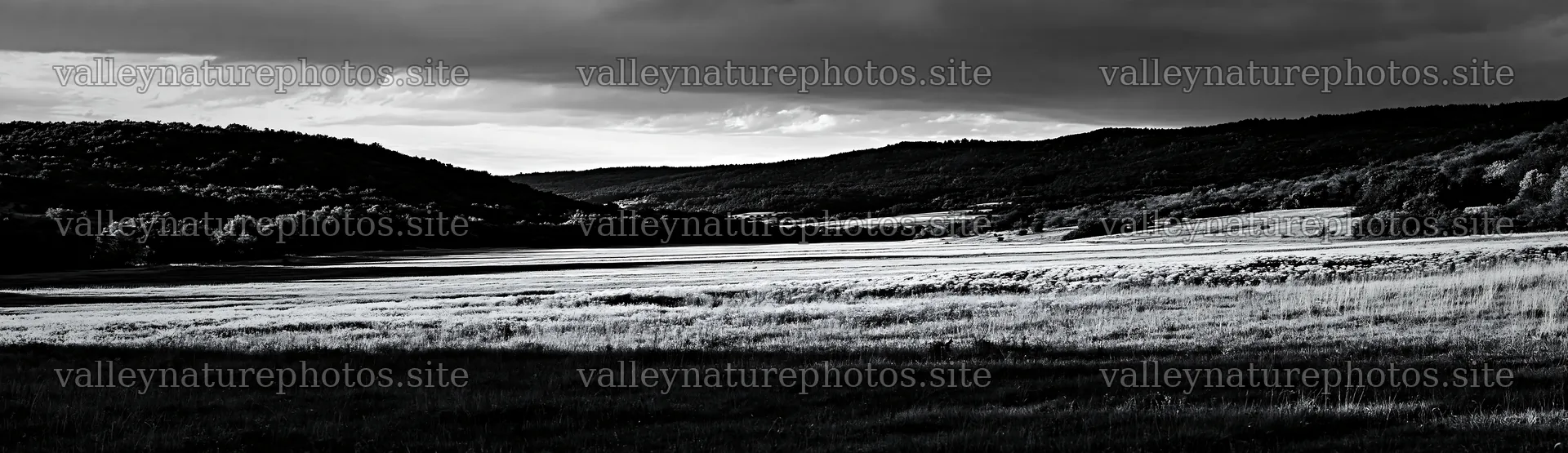 Hungarian meadow and wooded valley under cloudy sky – nature photography 14762x4268