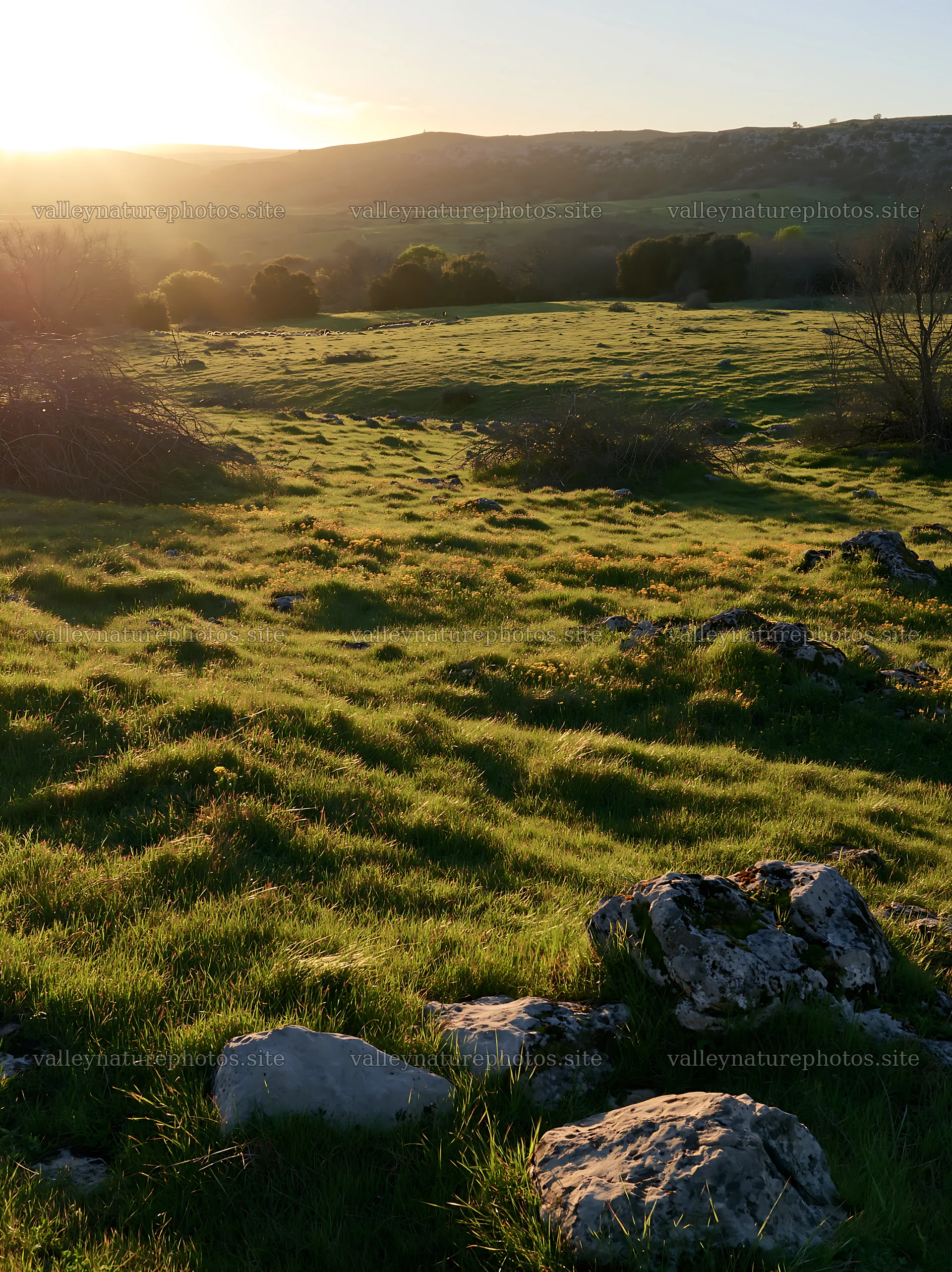 Expansive Christmas meadow with stones and lights at sunset – nature photography 6866x9174
