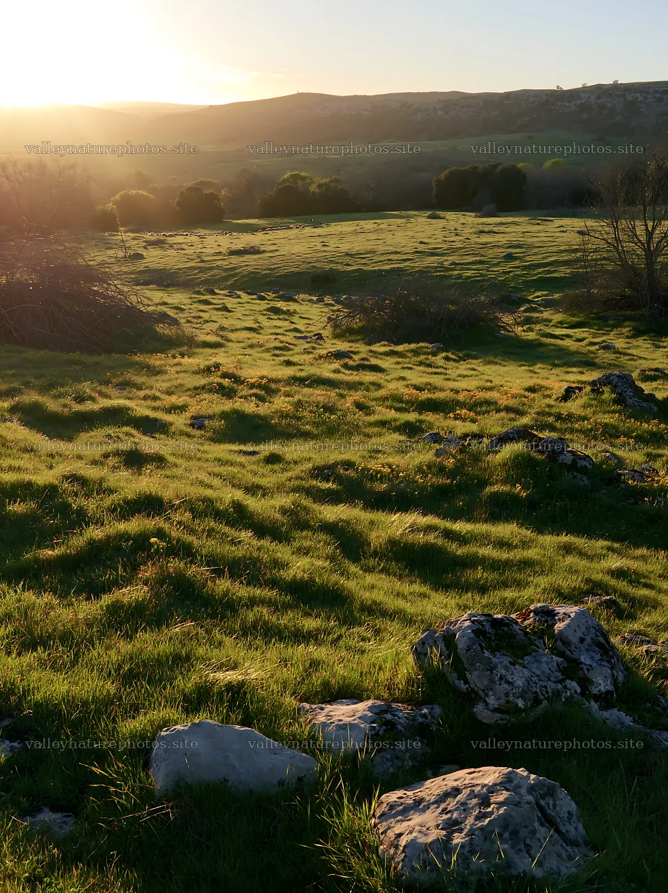 Expansive Christmas meadow with stones and lights at sunset – nature photography 6866x9174
