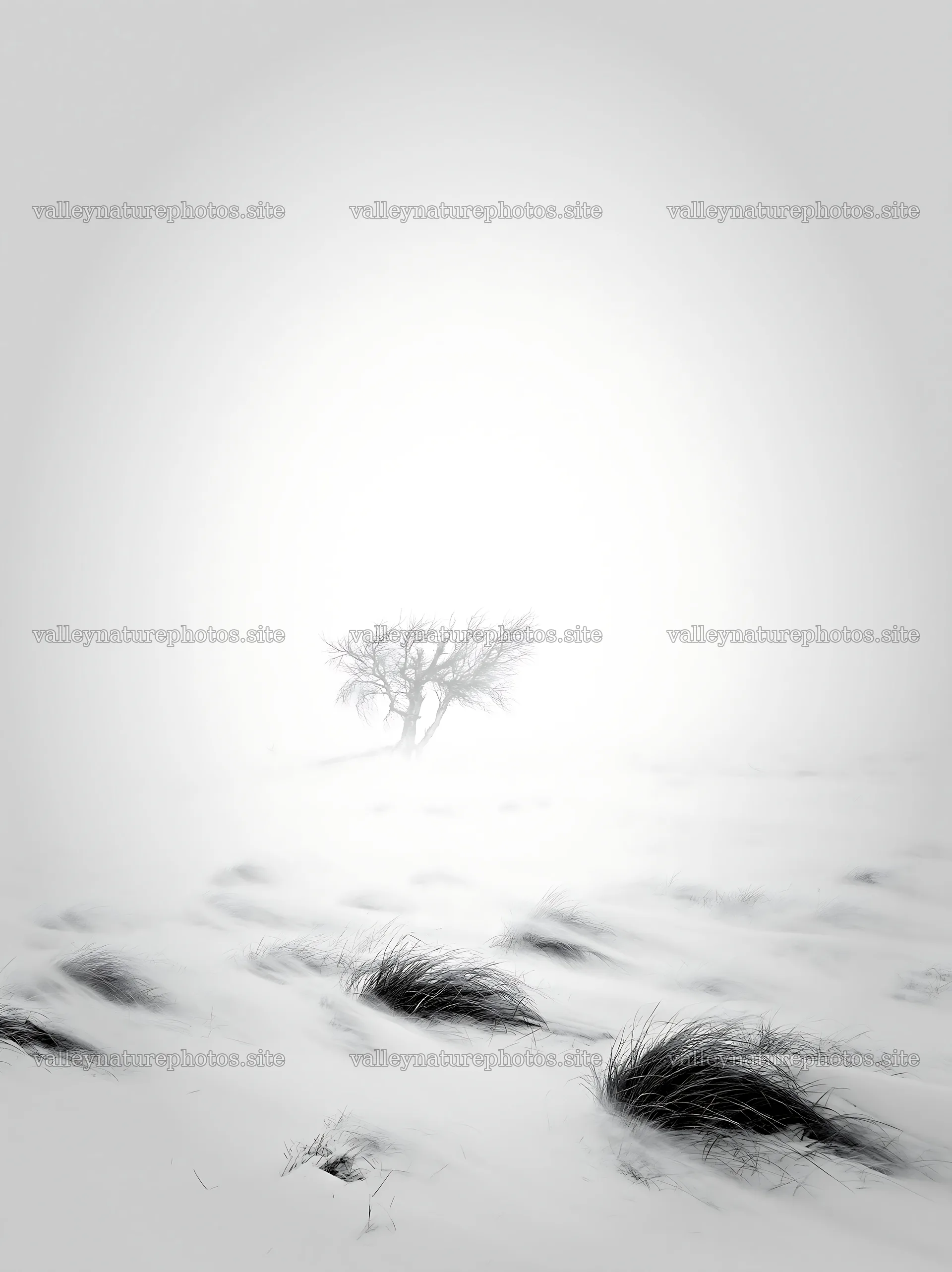 Snowbound meadow with a tree and tall grass in winter scene – nature photography 6866x9174