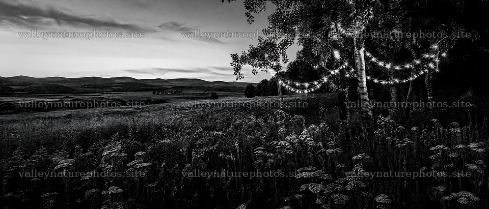Vibrant Christmas lights glowing in dusk meadow – nature photography 12124x5196