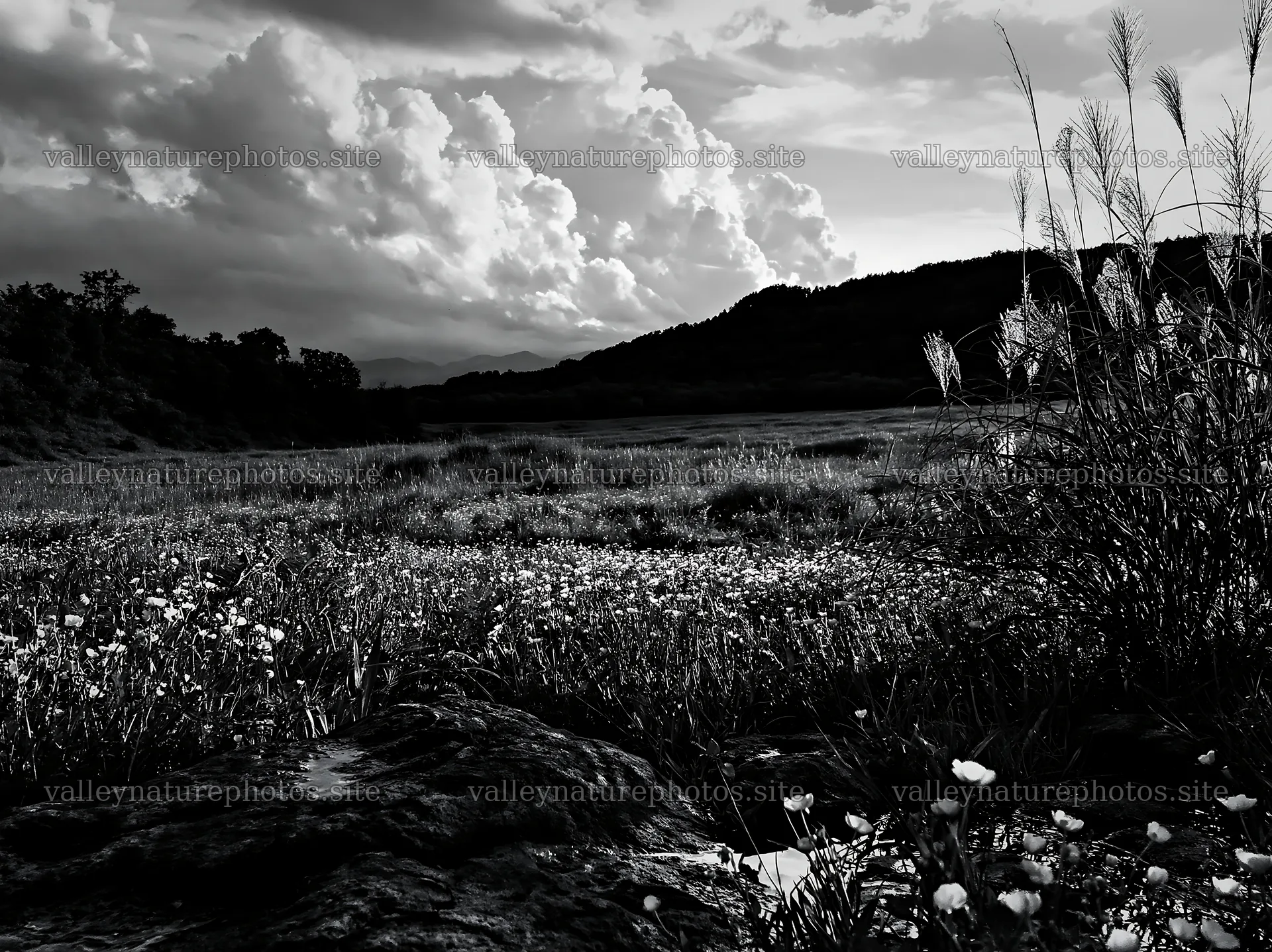 Yamanashi meadow with basalt stones under cloudy sky – nature photography 9174x6866