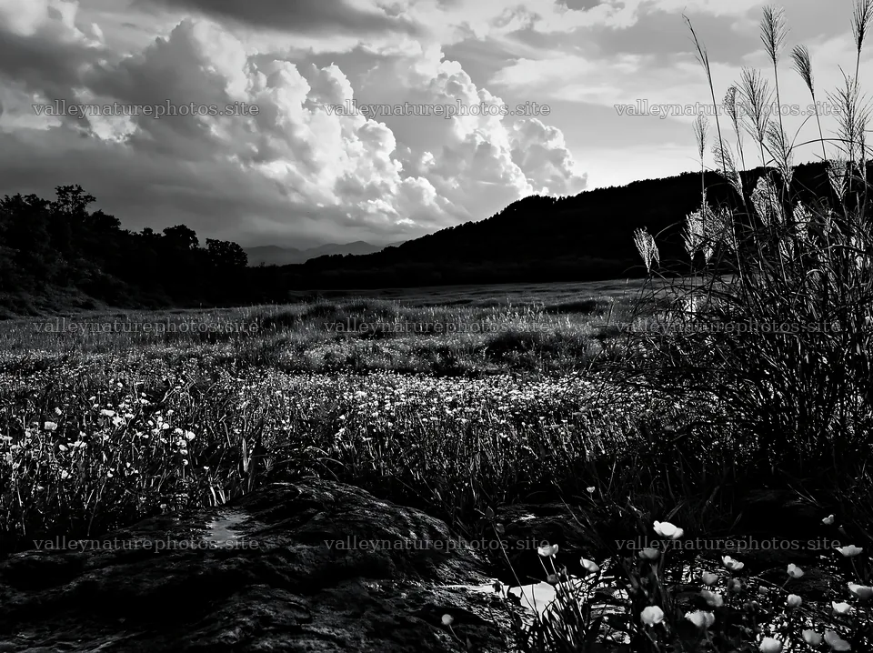 Yamanashi meadow with basalt stones under cloudy sky – nature photography 9174x6866
