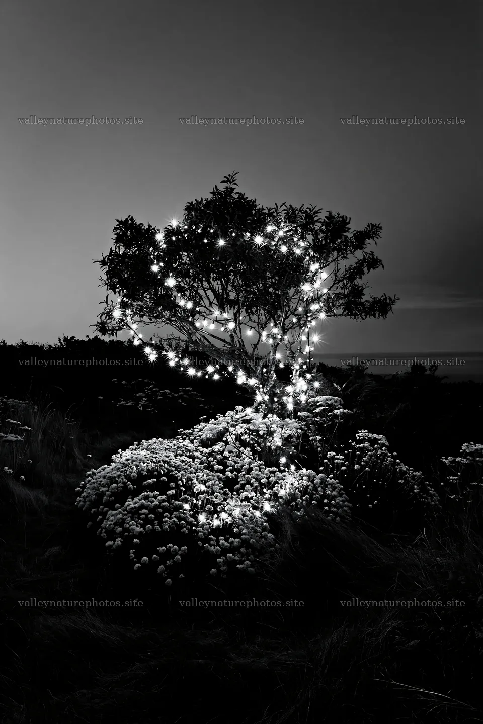 Vibrant Christmas lights glow at dusk in meadow – nature photography 6480x9722