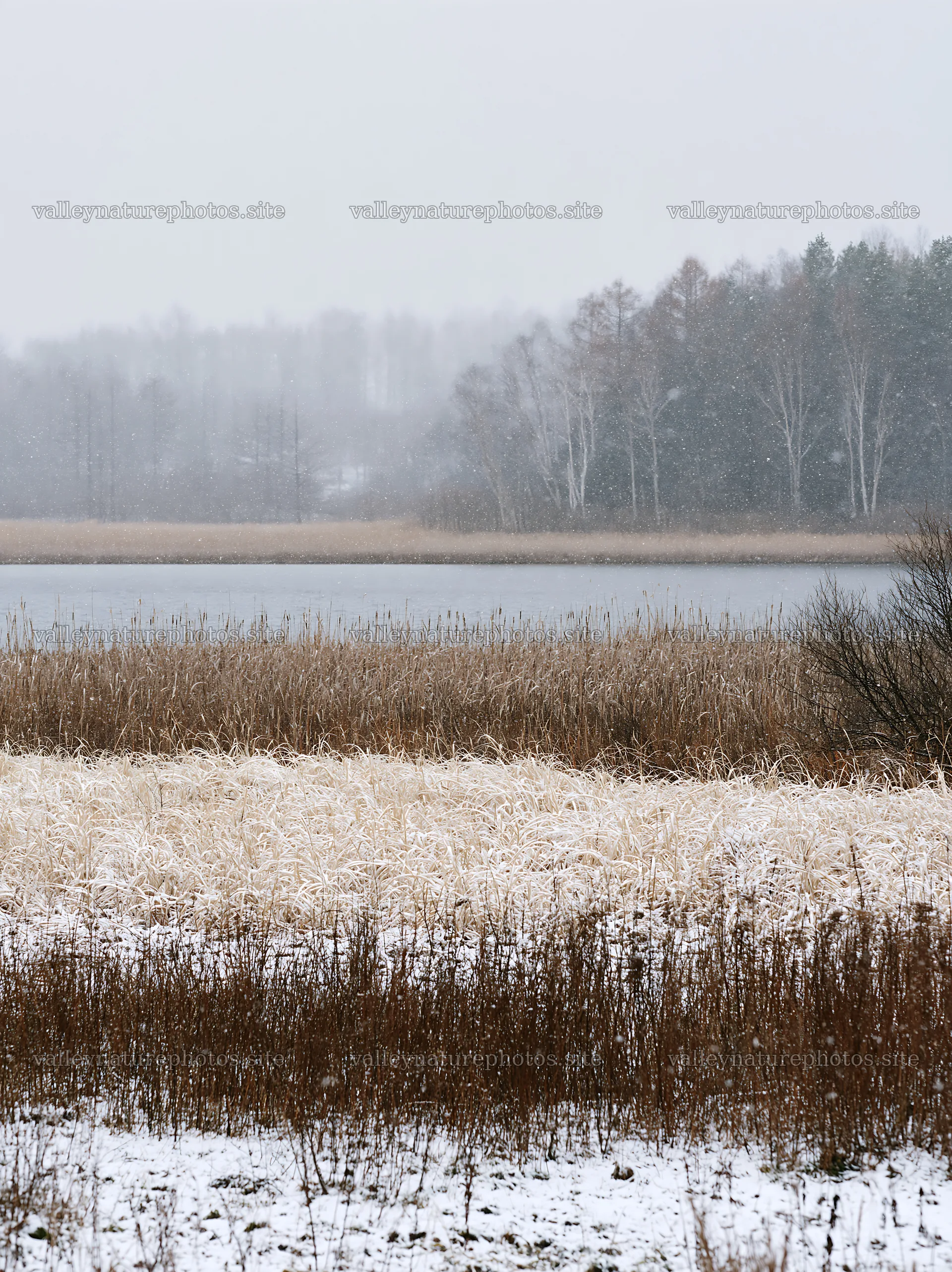 Lakeside meadow covered with snow after first winter snowfall – nature photography 6866x9174