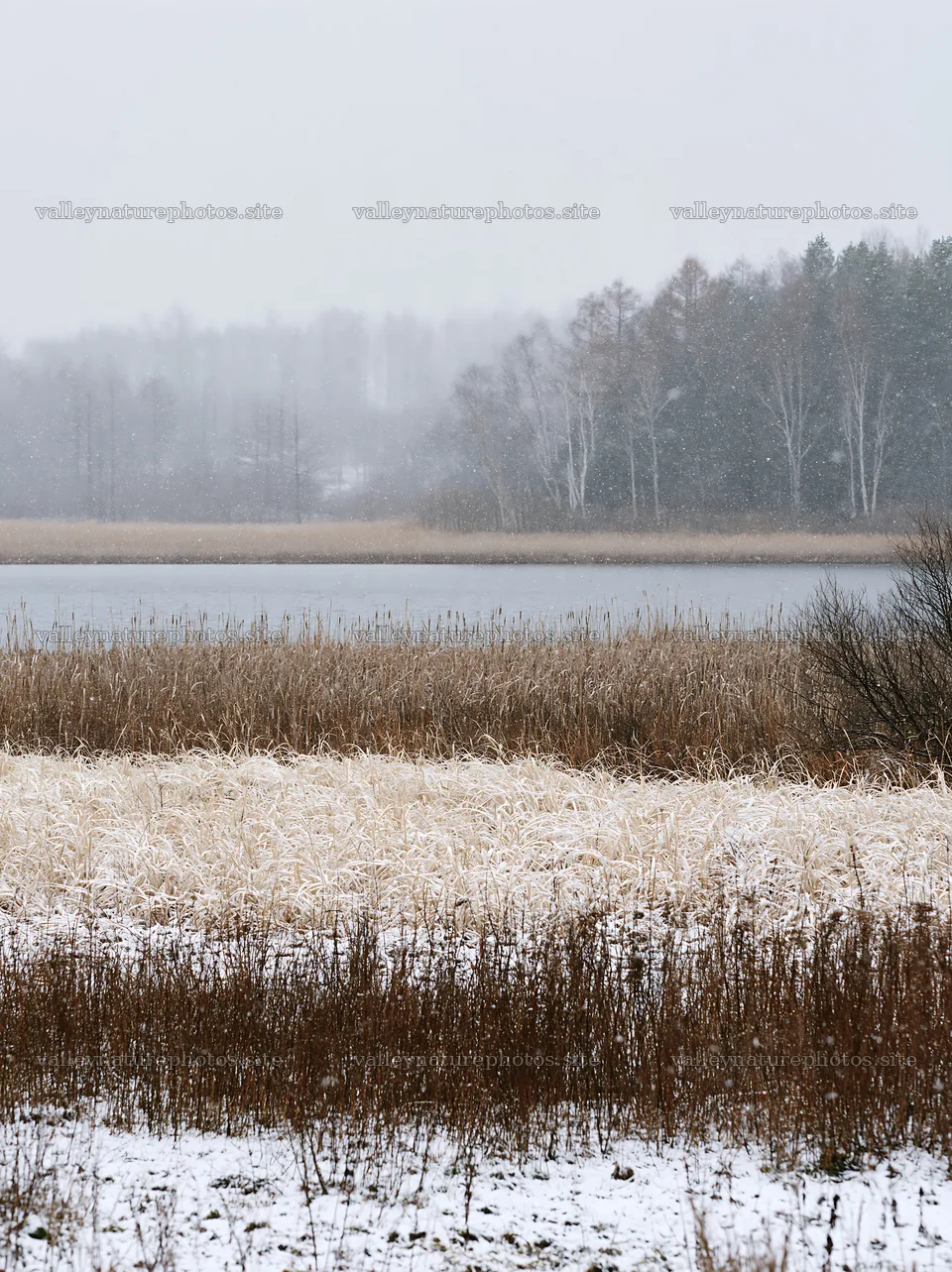 Lakeside meadow covered with snow after first winter snowfall – nature photography 6866x9174