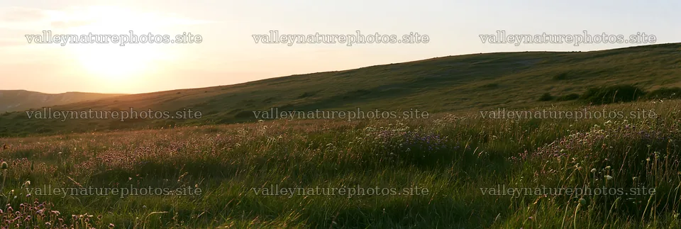 Sunny chalk slope meadow at sunset – nature photography 13690x4602