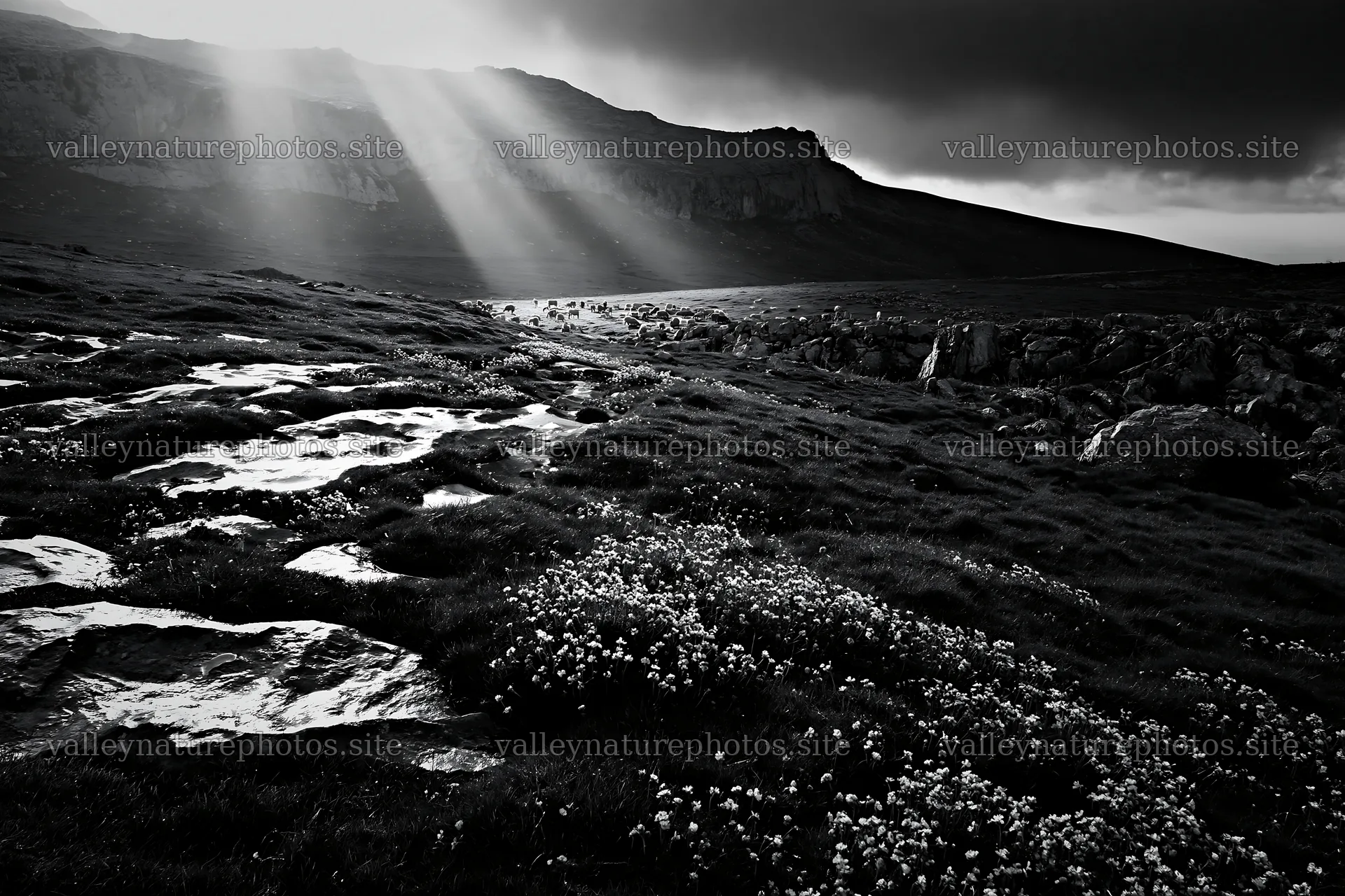 Sunrays over Picos de Europa meadow at evening – nature photography 9722x6480
