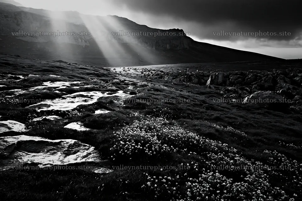Sunrays over Picos de Europa meadow at evening – nature photography 9722x6480