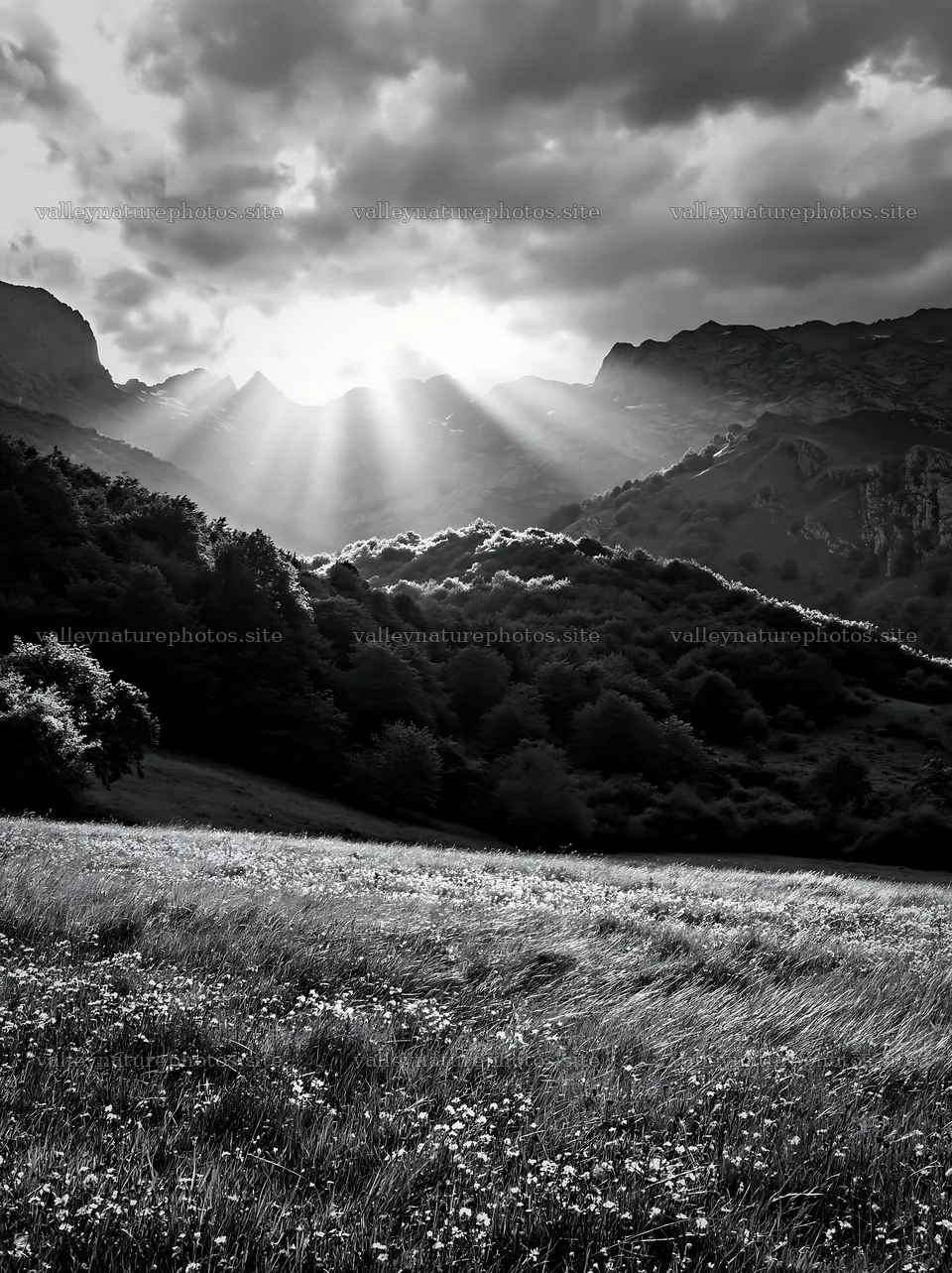 Sunrays shining over Picos de Europa meadow – nature photography 6866x9174