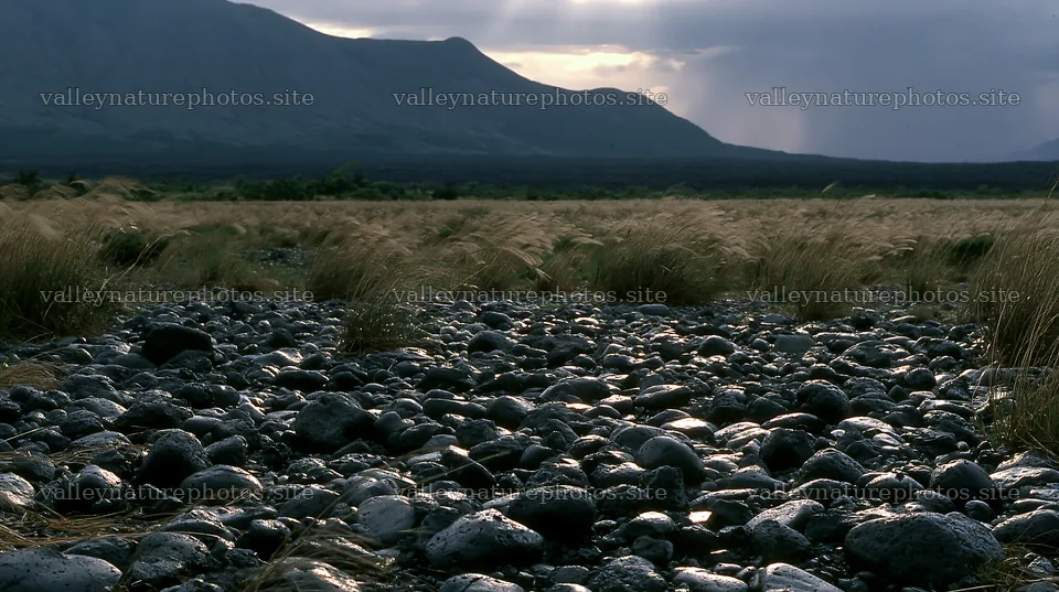 Kagoshima volcanic meadow with pumice foreground under cloudy sky – nature photography 10608x5938