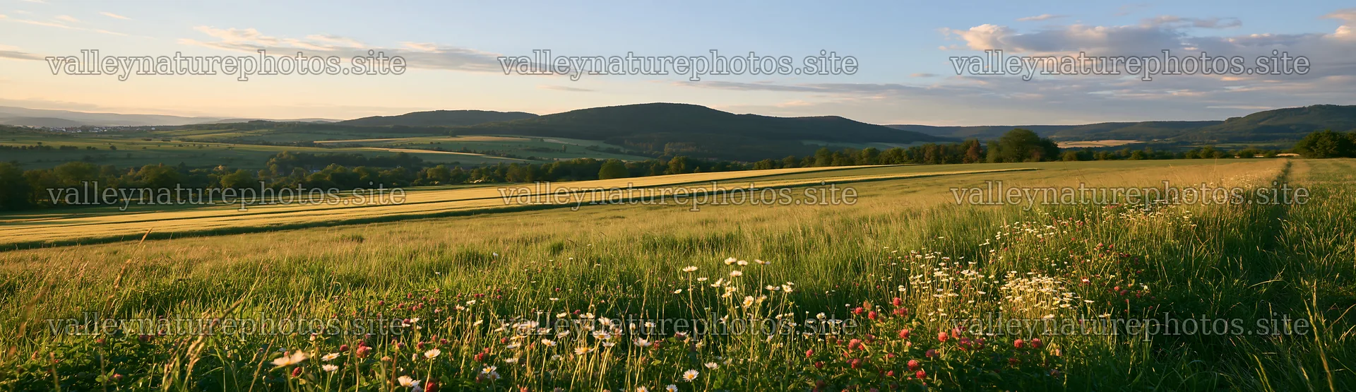 Meadow in the German foothills during sunset – nature photography 14762x4268
