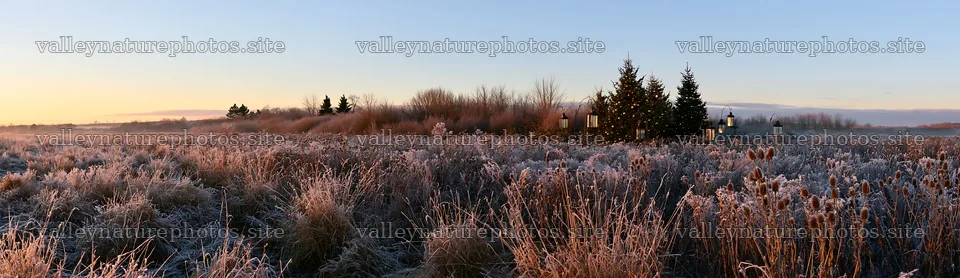 Frosted meadow with seedheads and lanterns at dawn – nature photography 14762x4268