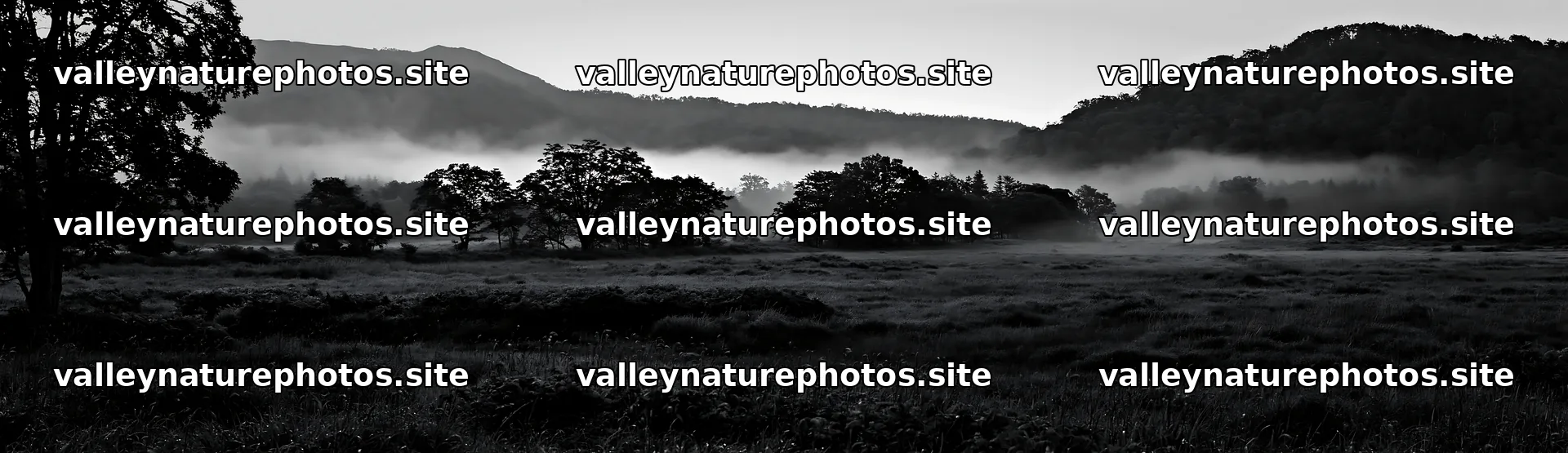 Iwate rain refreshed meadow seedhead foreground – nature photography 14762x4268