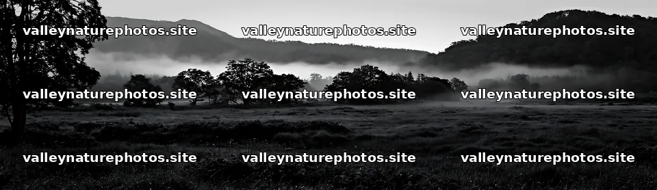 Iwate rain refreshed meadow seedhead foreground – nature photography 14762x4268