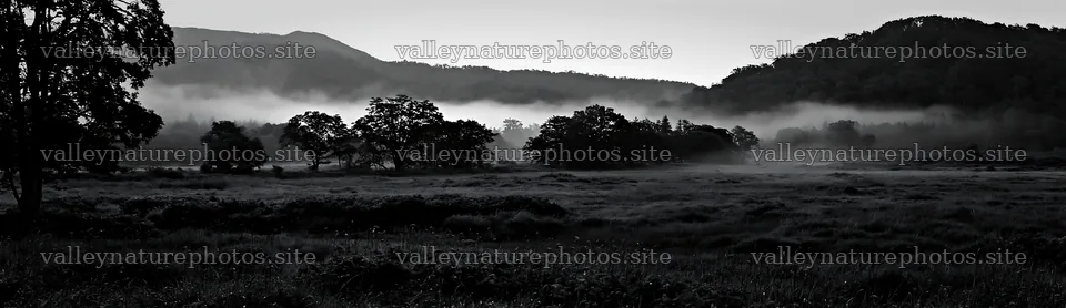 Iwate rain refreshed meadow seedhead foreground – nature photography 14762x4268