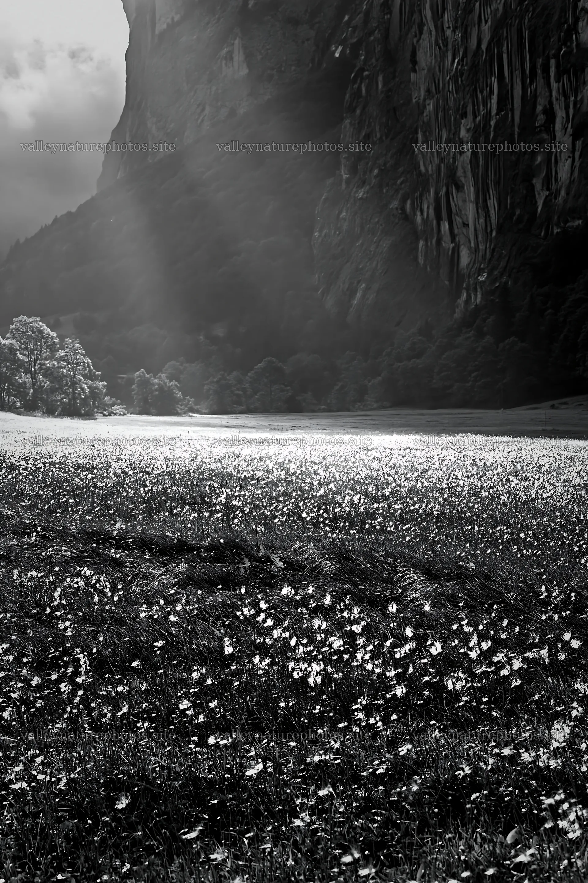 Light rays over meadow in Lauterbrunnen Valley – nature photography 6480x9722