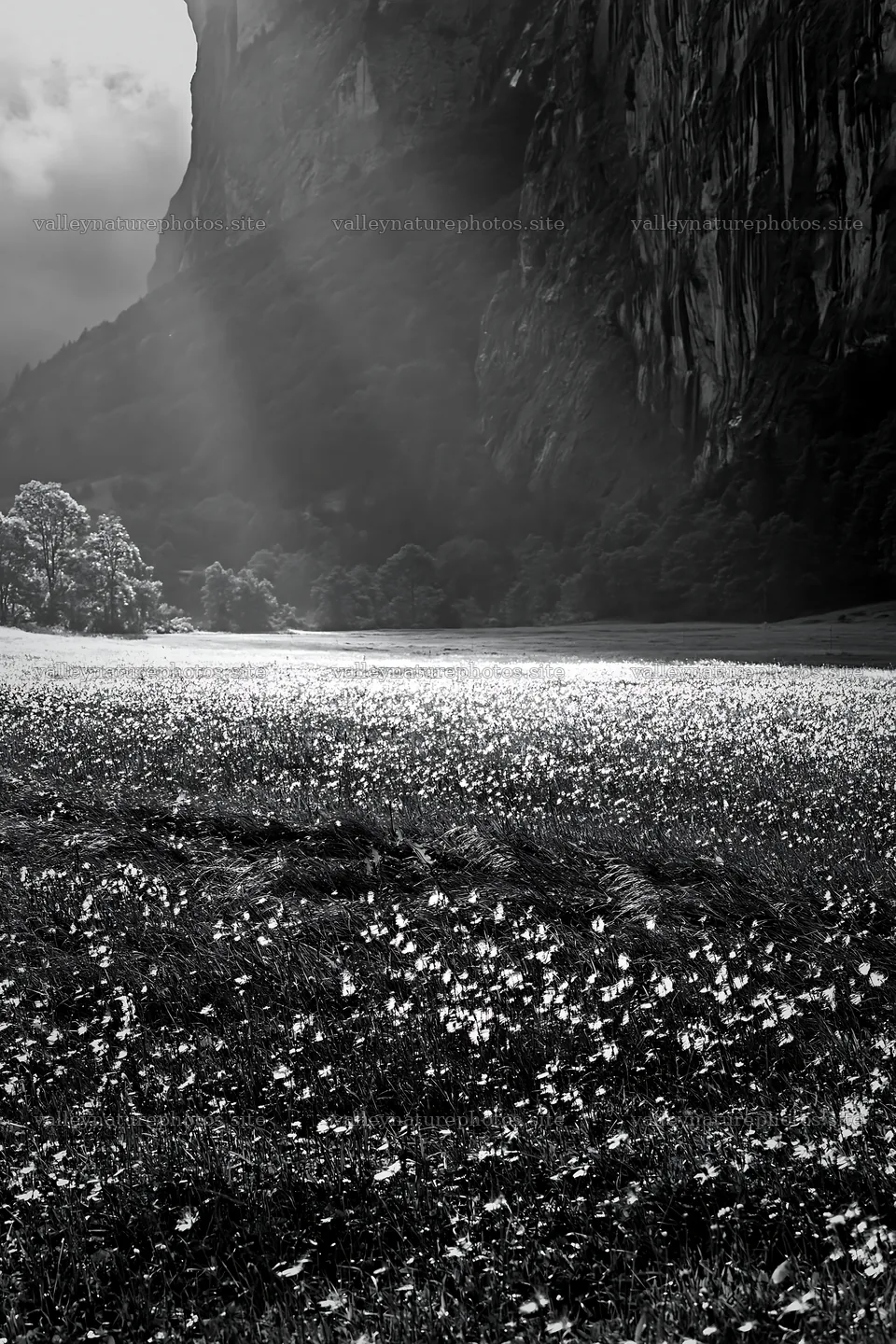 Light rays over meadow in Lauterbrunnen Valley – nature photography 6480x9722