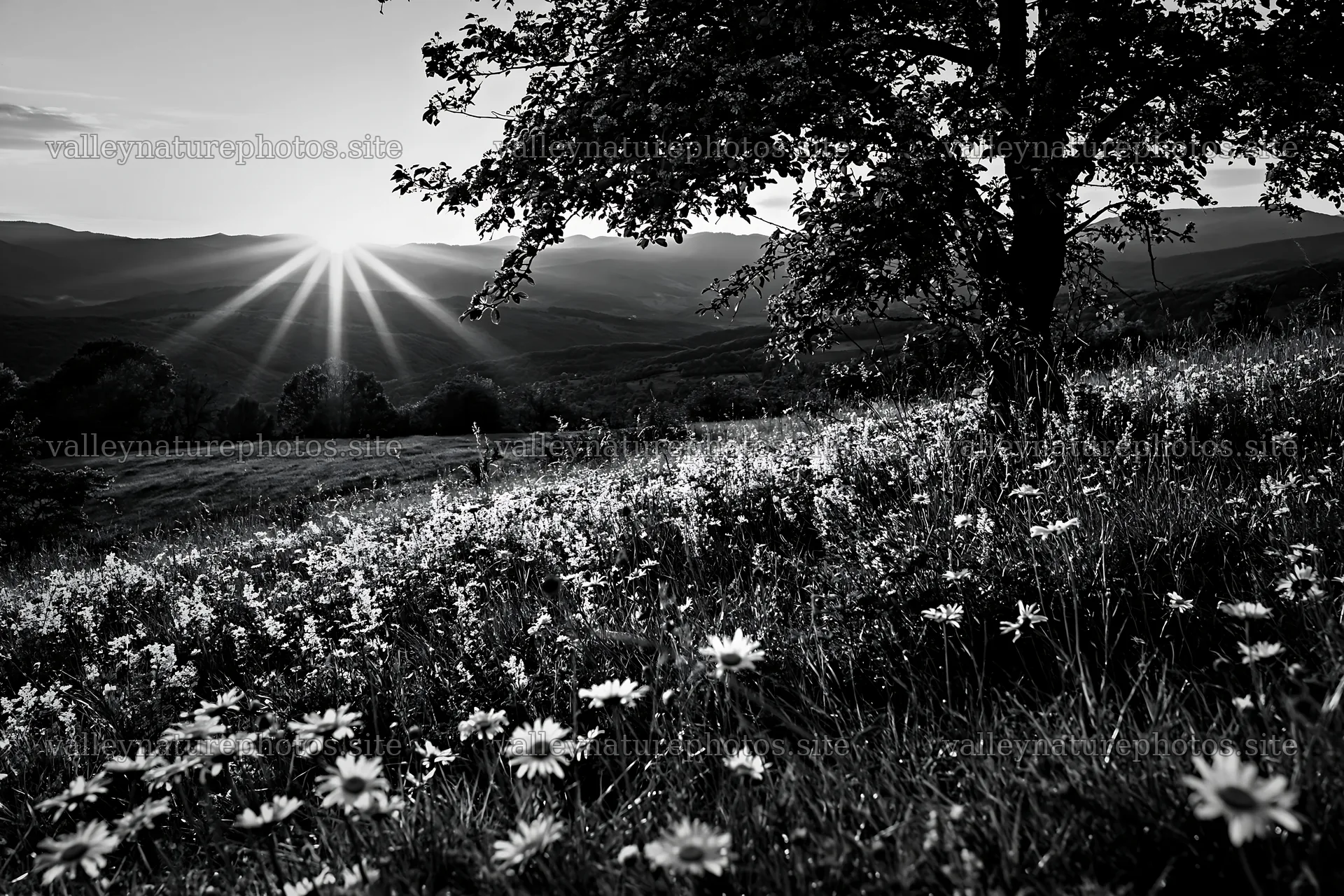 Hay meadows in Transylvania with sun setting behind mountains – nature photography 9722x6480
