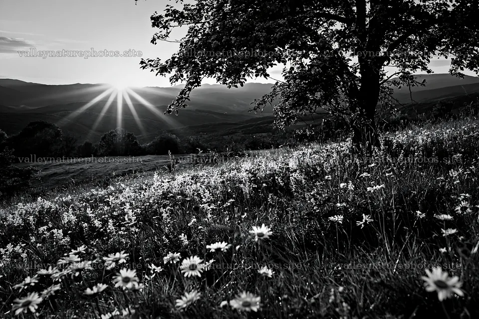 Hay meadows in Transylvania with sun setting behind mountains – nature photography 9722x6480