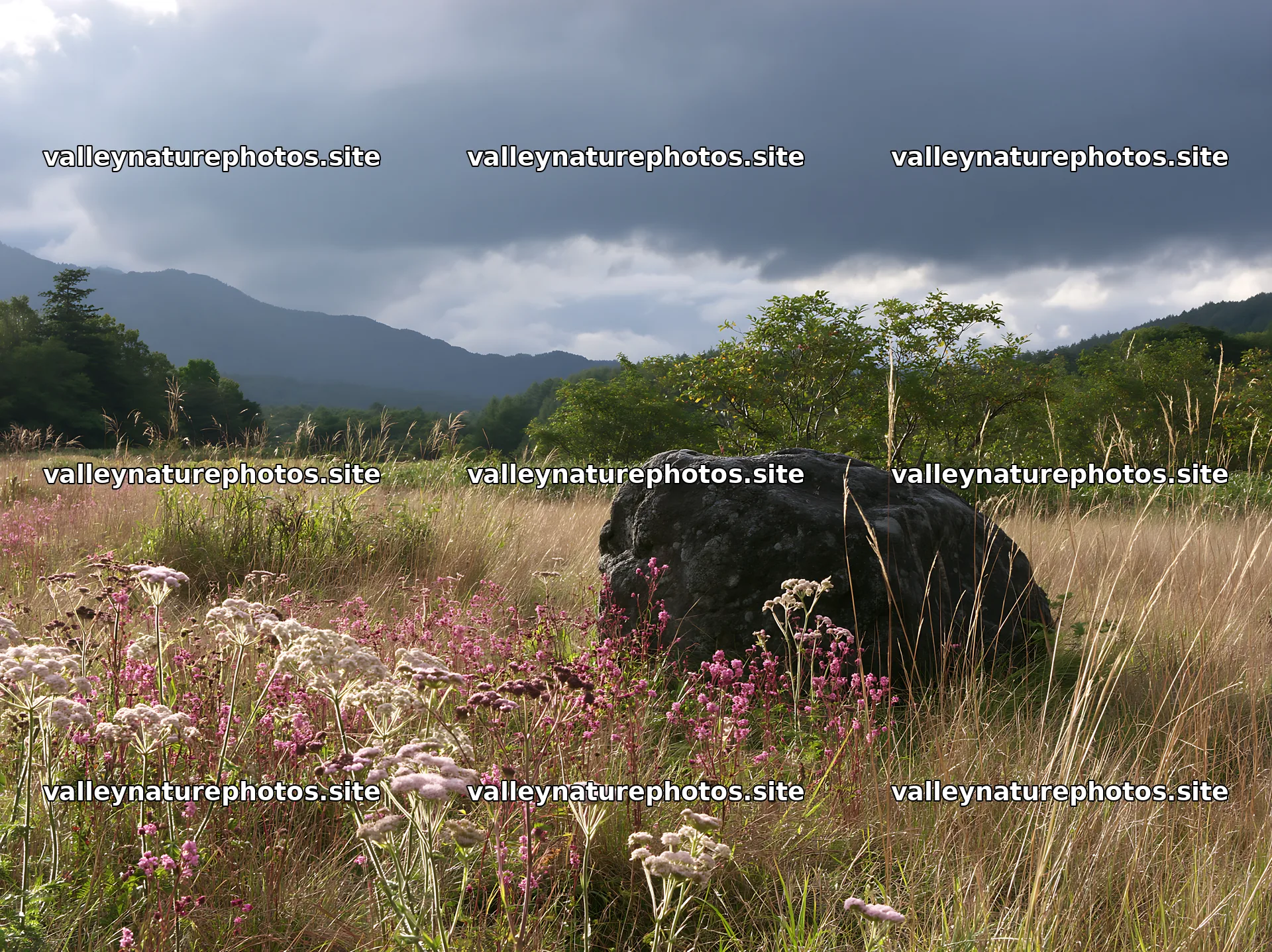 Nagano drought resilient meadow granite boulder under gray clouds – nature photography 9174x6866