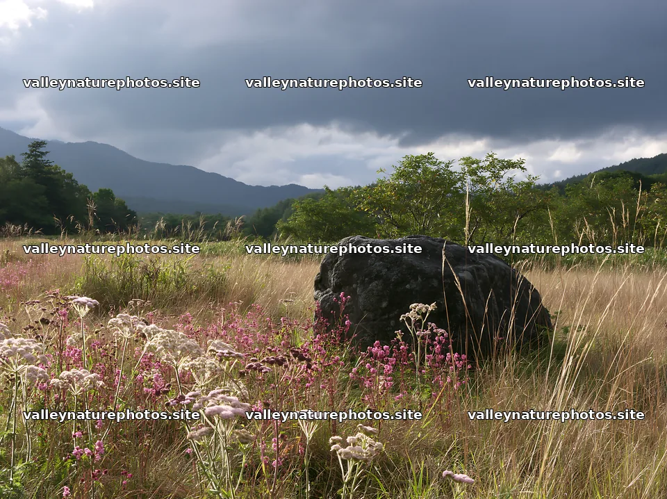 Nagano drought resilient meadow granite boulder under gray clouds – nature photography 9174x6866