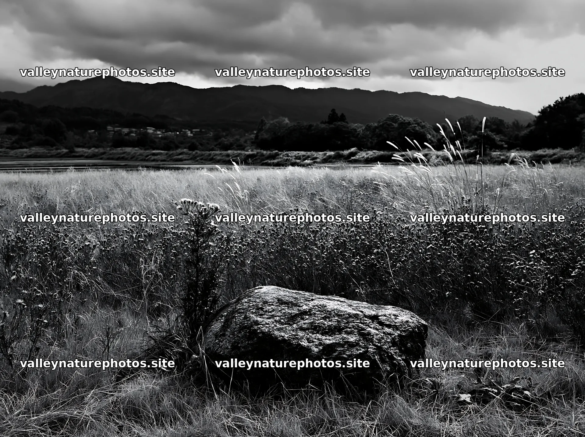 Nagano drought resilient meadow granite boulder – nature photography 9174x6866