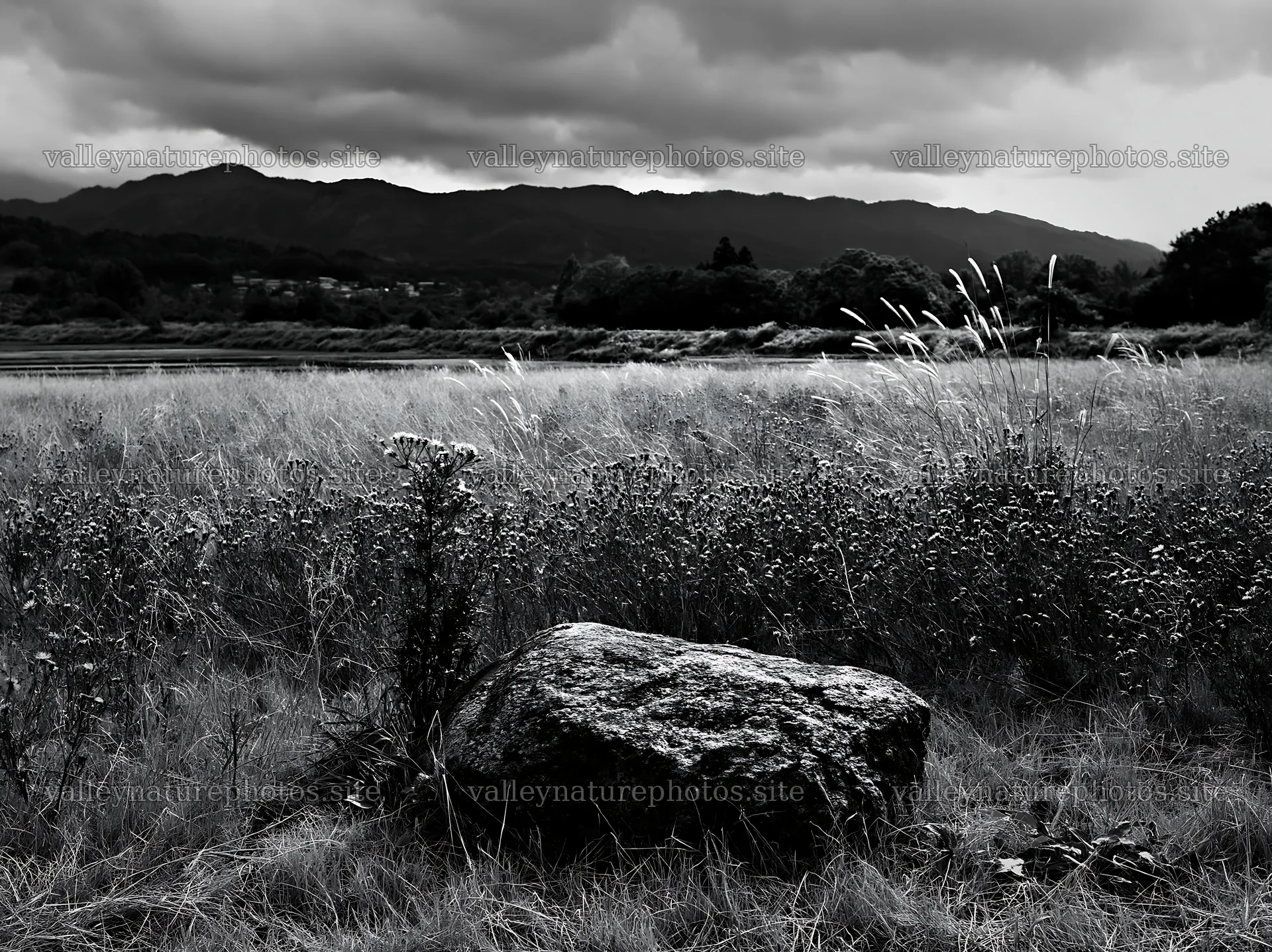 Nagano drought resilient meadow granite boulder – nature photography 9174x6866
