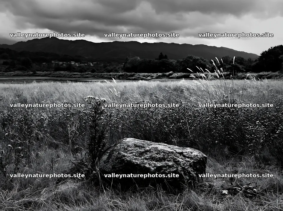 Nagano drought resilient meadow granite boulder – nature photography 9174x6866