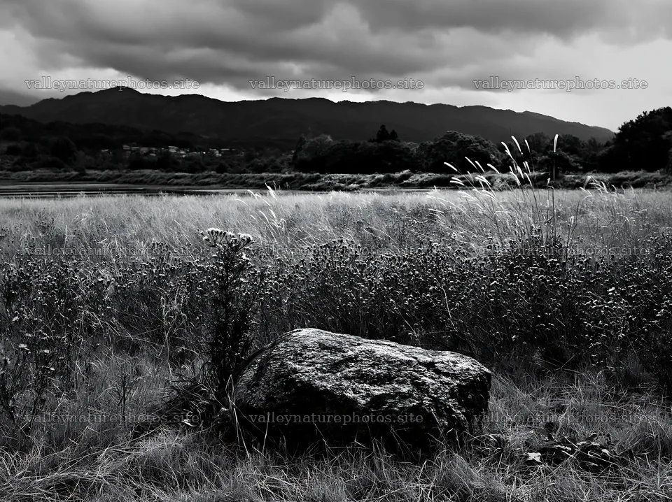Nagano drought resilient meadow granite boulder – nature photography 9174x6866