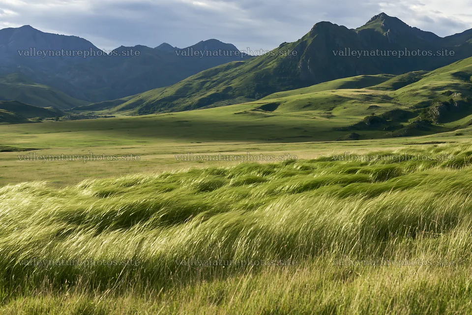 Rolling valley meadows with green grass and distant mountains – nature photography 9722x6480