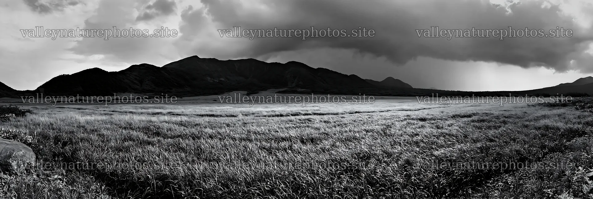 Aomori meadow with boulder under dark clouds in black and white – nature photography 13690x4602
