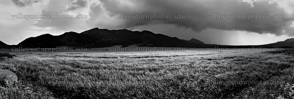 Aomori meadow with boulder under dark clouds in black and white – nature photography 13690x4602