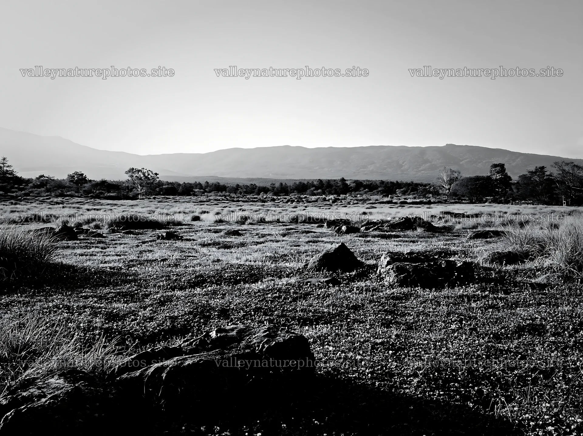 Yamanashi meadow with basalt stones and distant mountains – nature photography 9174x6866