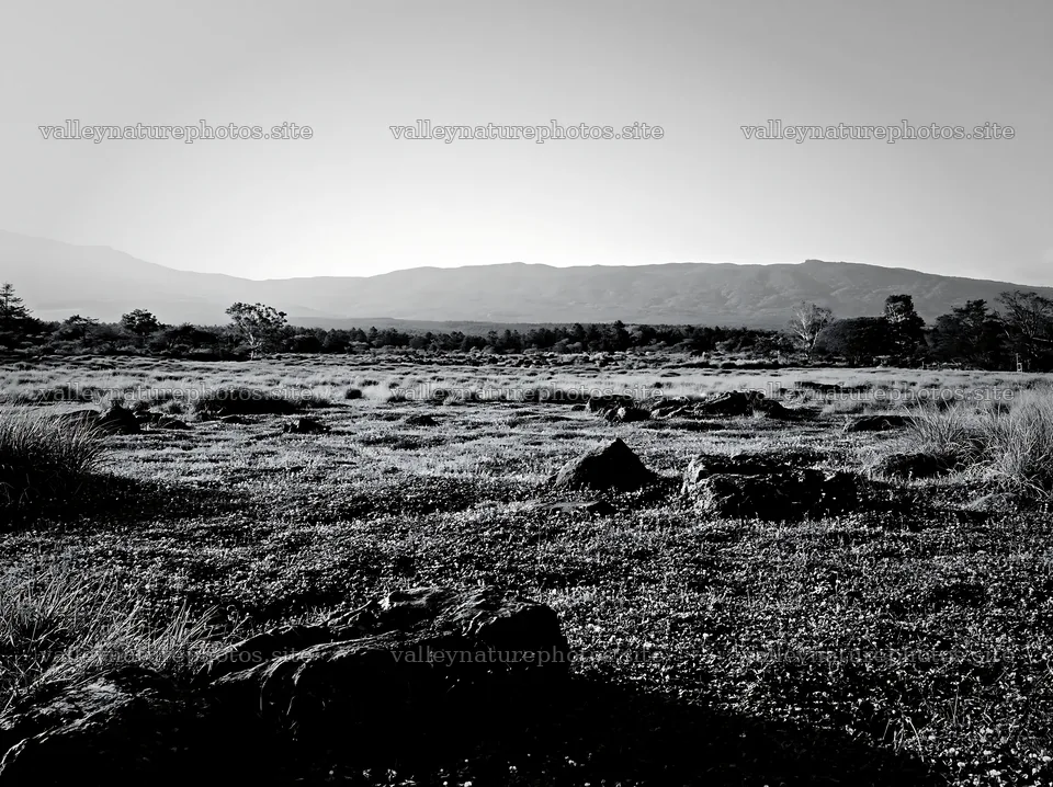 Yamanashi meadow with basalt stones and distant mountains – nature photography 9174x6866