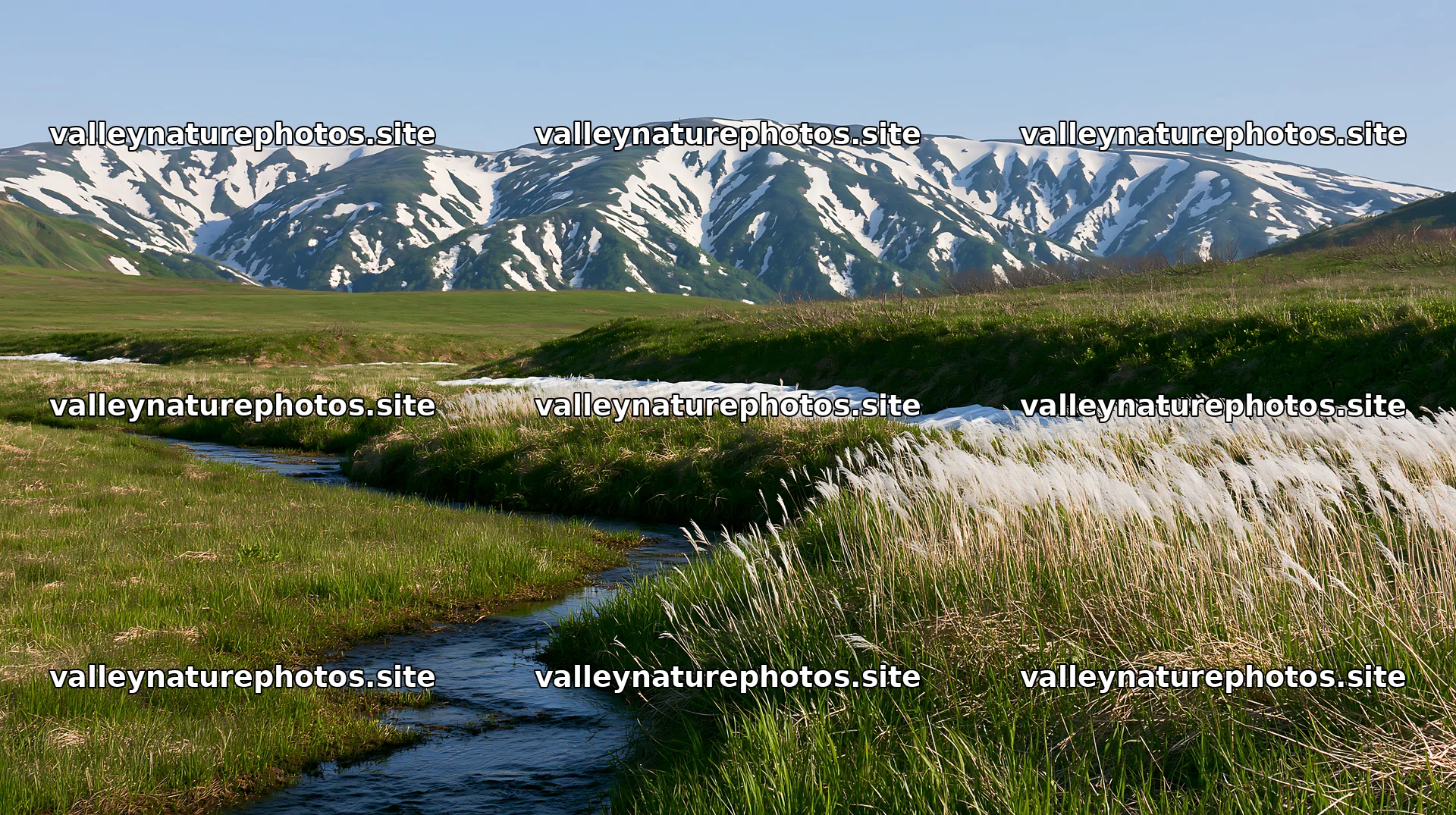 Akita snowmelt meadow with silver grasses seen in spring – nature photography 10608x5938
