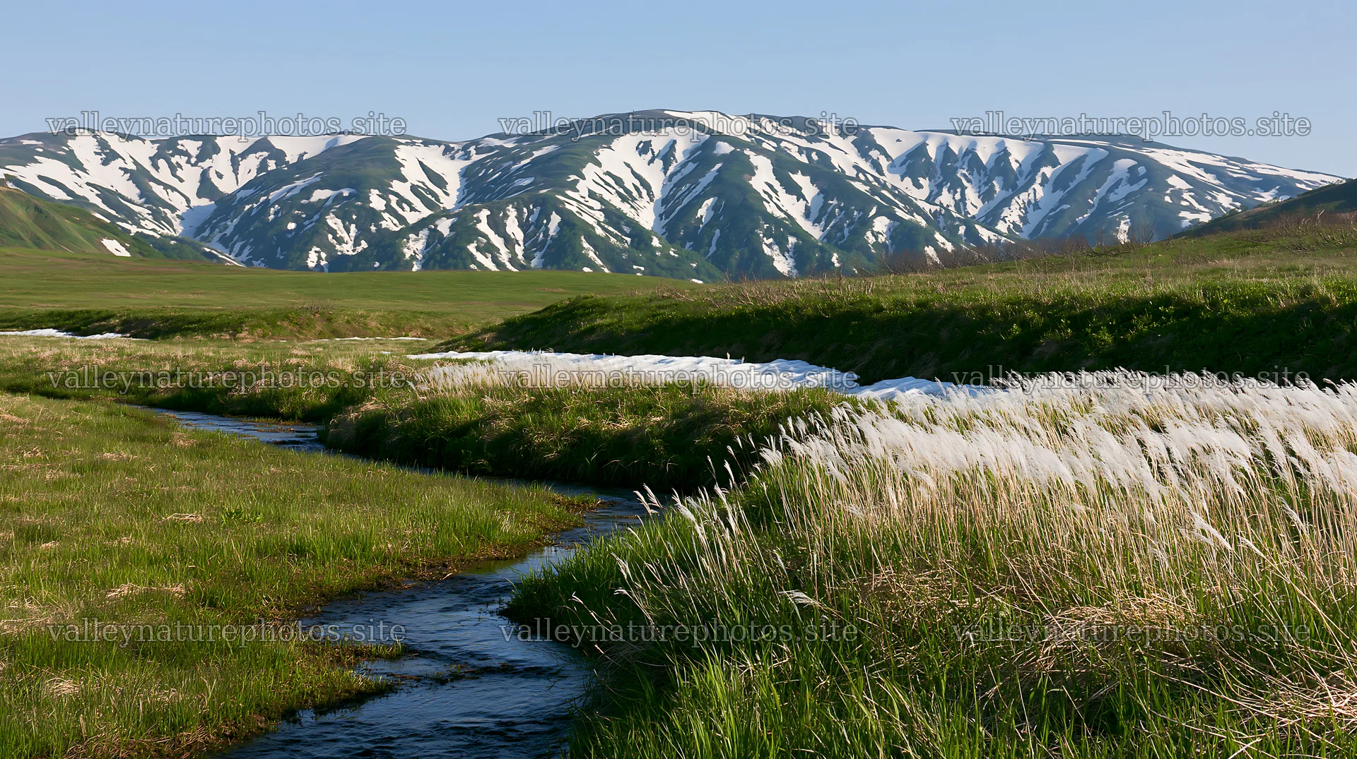 Akita snowmelt meadow with silver grasses seen in spring – nature photography 10608x5938