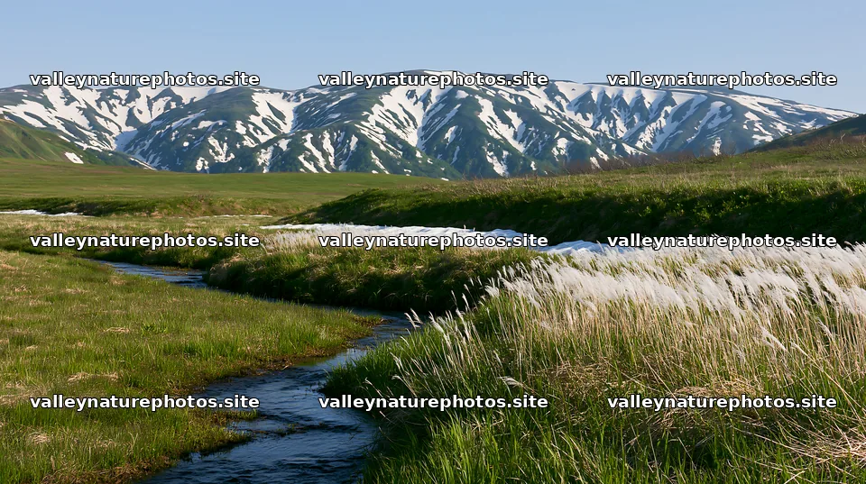 Akita snowmelt meadow with silver grasses seen in spring – nature photography 10608x5938