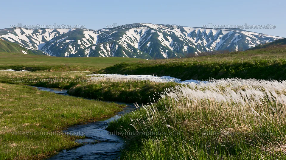 Akita snowmelt meadow with silver grasses seen in spring – nature photography 10608x5938
