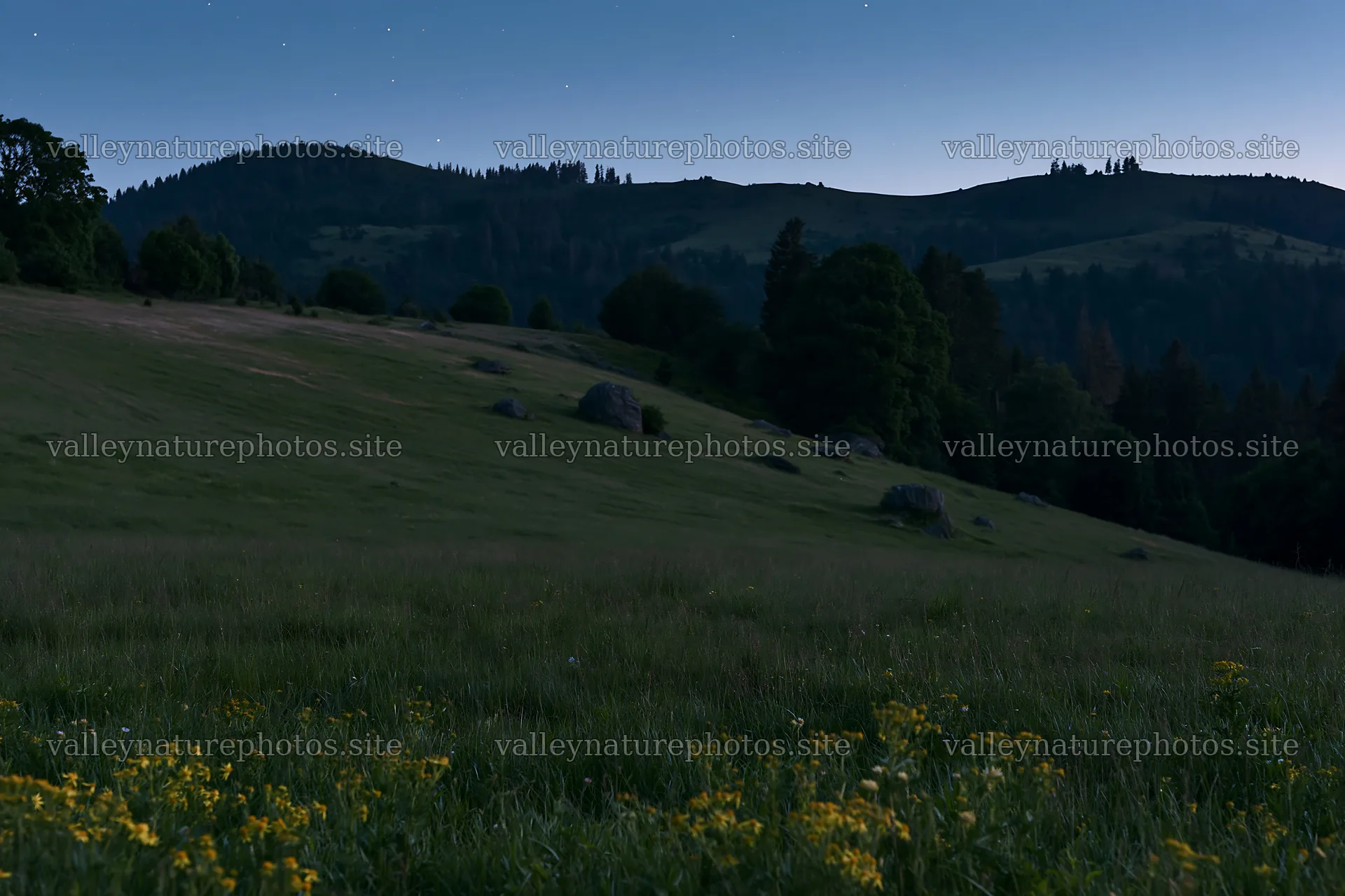 Dark sky over meadow with rocks and trees at night – nature photography 9722x6480