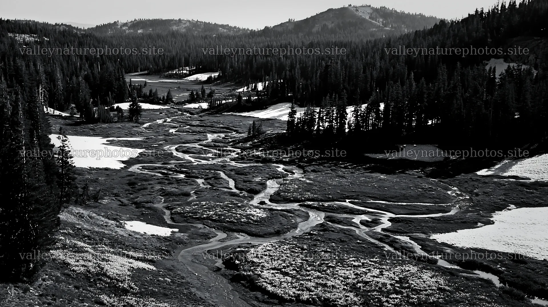 Snowy meadow valley with winding river and forested hills – nature photography 10608x5938
